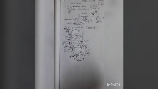 Newton's Law Of Motion(Part-1): Class-9 & 11 physics by Ultimate Physics Solution смотреть онлайн