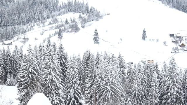 ПО ГОРАМ С СОБАКОЙ ? Карпаты ? Эко-Курорт "Хутор Тихий" #4 смотреть онлайн