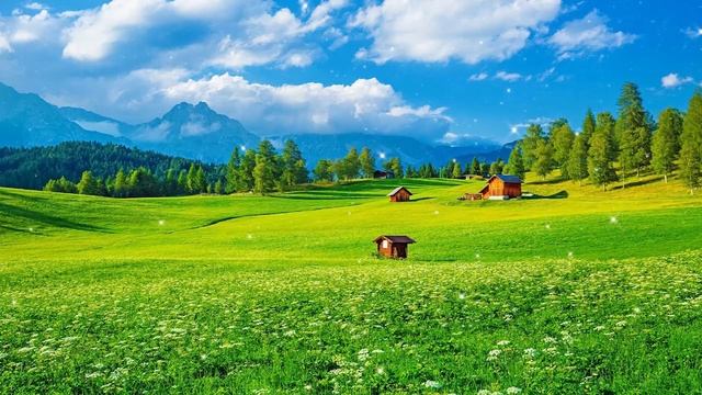 Самая красивая мелодия на свете! Эту музыку можно слушать вечно! красивая музыка Сергей Грищук