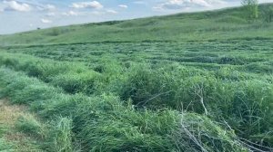 Мтз 80 и роторная косилка. Первый выезд на работу с ВОМ