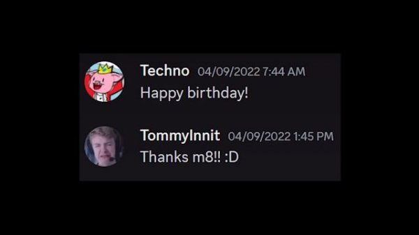 365 Days Without Technoblade