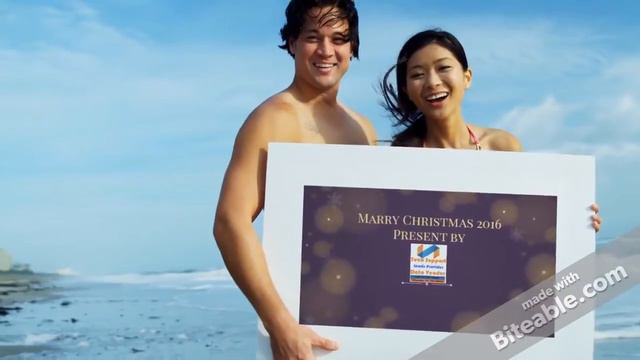 Marry Christmas 2016 from Tech Support Leads Data Vendor смотреть онлайн