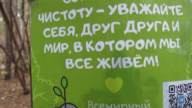 БЕЛОЧКИ И ДРУГИЕ ОБИТАТЕЛИ ЛЕСА... смотреть онлайн