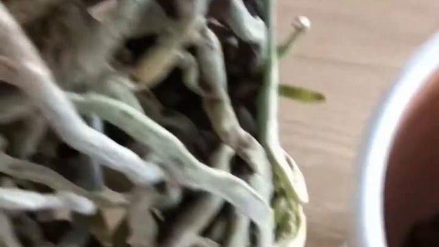 Посадка орхидеи в керамический горшок. смотреть онлайн