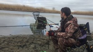 Маховое удилище DAIWA ninja Tele pole в деле