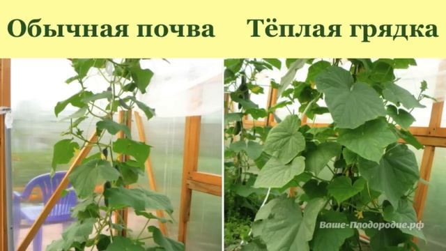 Обогрев грунта и тёплые грядки смотреть онлайн