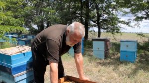 Как правильно расположить рамки в улие. Пчеловодство 2020. Пчеловодство для начинающих