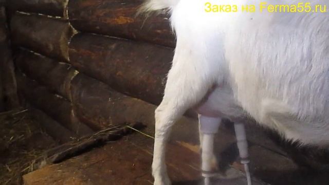 Доильный аппарат для коз на 5 литров смотреть онлайн