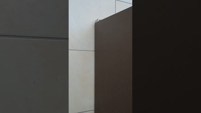 Вуайеристы в туалете. Подглядывают в общественном туалете. Спалились. Ужас тараканы. Cockroaches Lo