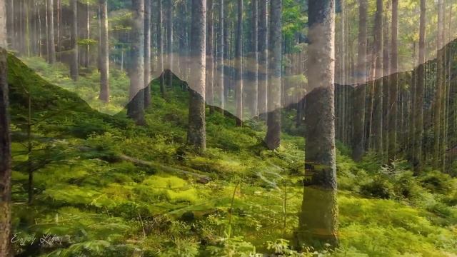 ВОССТАНОВЛЕНИЕ НЕРВНОЙ СИСТЕМЫ ? Нежная музыка, успокаивает нервную систему и радует душу смотреть онлайн