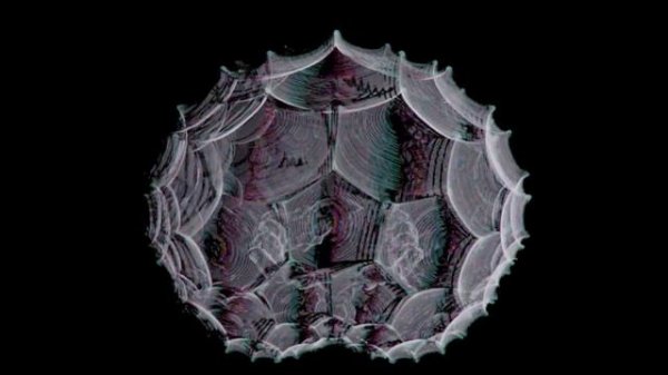 Blender fractal animation