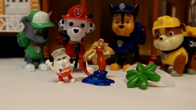 Самый лучший День рождения Насти! 4 года и Зоопарк в подарок, Тролли и Принцессы Видео для смотреть онлайн