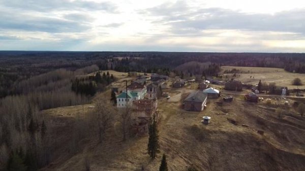 Полетели коптеры, полетели сизые...