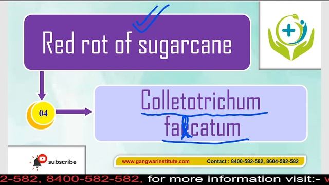 NEET 2020 |Important Points For NEET Biology| Beyond NCERT Biology ||PART-2||