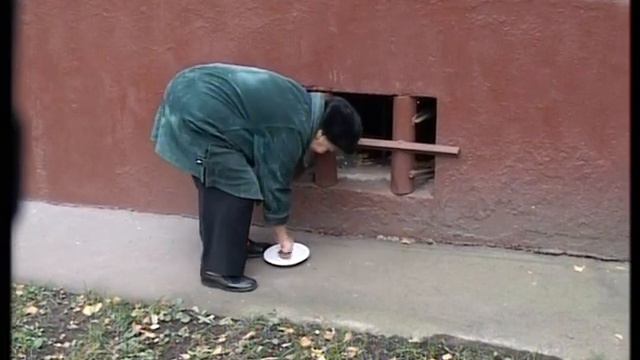 МОСКОВСКИЕ БЕЗДОМНЫЕ КОШКИ ХОТЯТ ЖИТЬ! / УДИВИТЕЛЬНЫЙ МИР КОШЕК
