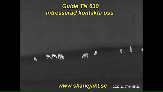 Guide Sensmart TN630 binoculars смотреть онлайн