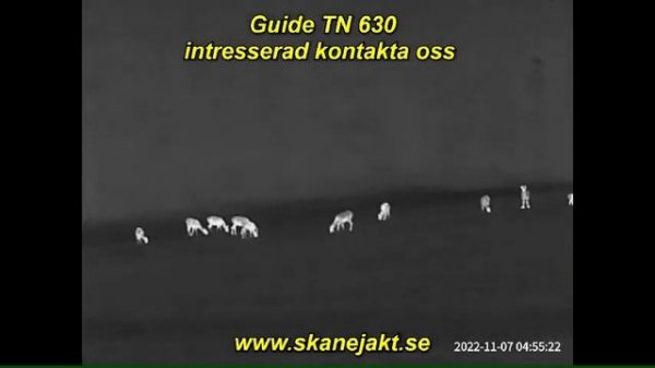 Guide Sensmart TN630 binoculars