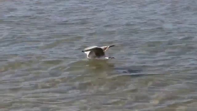 Спокойная музыка для отдыха #релакс