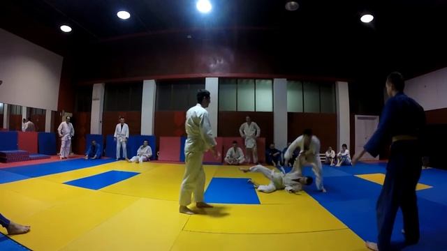 Взрослые учат азы Judo. Тренировки по Дзюдо. Дзюдо с ноля.  柔道のトレーニング。一から柔道。Judo Training