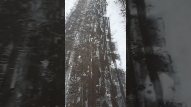 Ночью был снегопад. Ноябрь 2023. смотреть онлайн