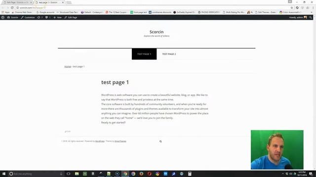 Make simple text edits to your WordPress website | Change text in WordPress смотреть онлайн