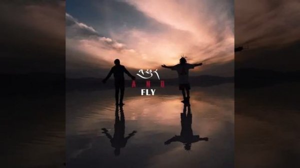 Fly