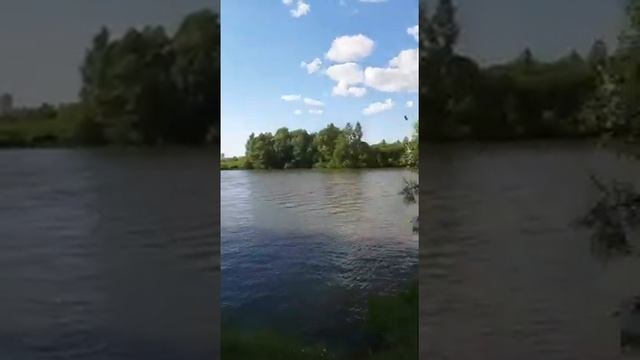 рыбалка под бугринский мост Новосибирск смотреть онлайн