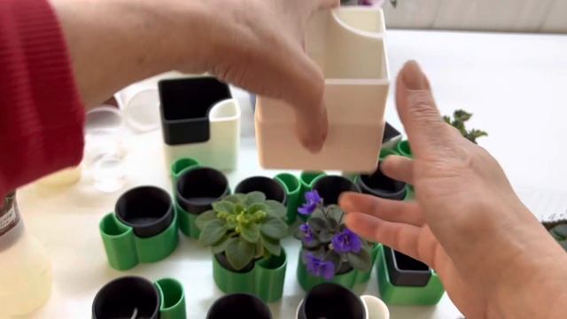 Горшки для мини. Эксклюзив смотреть онлайн