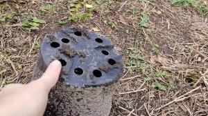 Капуста Мегатон F1. Выращивание от семян до урожая без химии