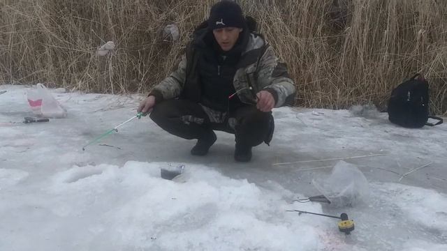 Рыба спит зимой Вся рыба в спячке зима город Талдыкорган смотреть онлайн