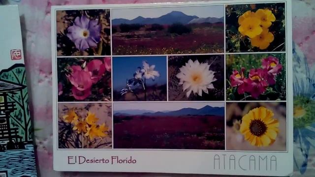 Новое хобби. Посткроссинг.Postcrossing. Коллекционирование открыток. Обзор почтовых открыток смотреть онлайн