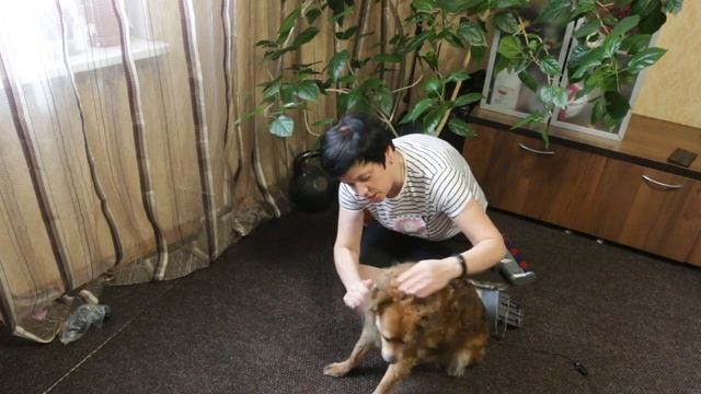 Беспроводной пылесос PRO-EXPERT V9 (обзор от Tanya Makarenko) смотреть онлайн