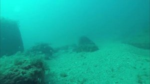 Подводная охота на кефаль в Черном море. Первые попытки