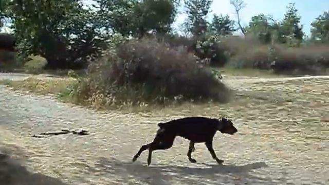 MOV04955 смотреть онлайн