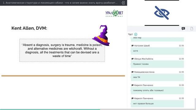 Анатомическая структура и локомоция собаки. Кинезиотерапия. Анастасия Чернявская #убвк_реабилитация
