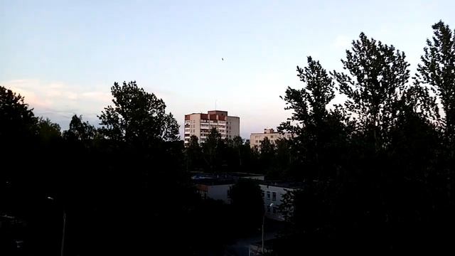 За полетами слежу стрижей смотреть онлайн