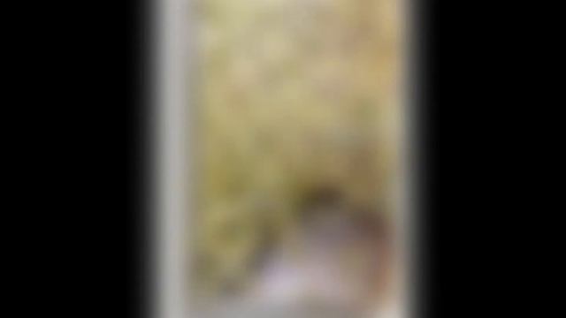 зеркало с рисунком смотреть онлайн