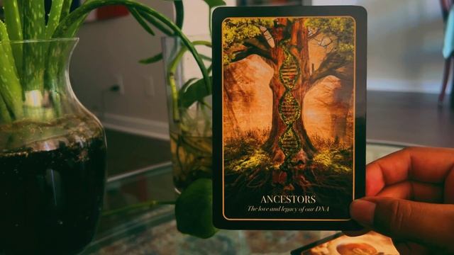 Full Moon in Taurus: You’re not in Kansas anymore. Step into this metaphysical experience. смотреть онлайн