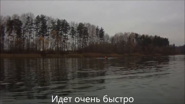 БАЙДАРКА ВЕКТОР смотреть онлайн