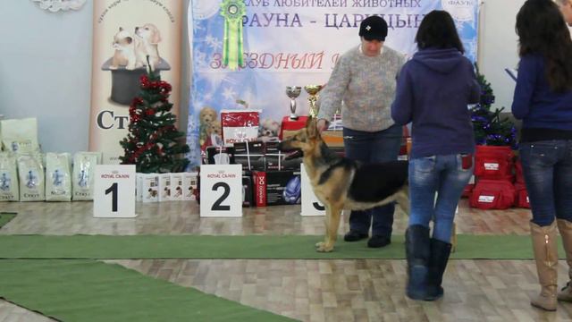 15.12.2013 ВОЛГОГРАД. ВЫСТАВКА.эксп.АБРАКИМОВ Ш. смотреть онлайн