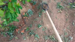 Ручной культиватор помощник на даче