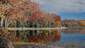 Антонио Вивальди - Времена года - Зима - Часть 1