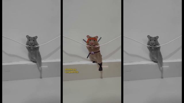 ? Clumsy Ninja ? смотреть онлайн