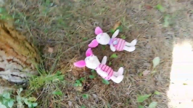 Приключения в лесу // Правила поведения в лесу?// #Сладкийкексик // смотреть онлайн