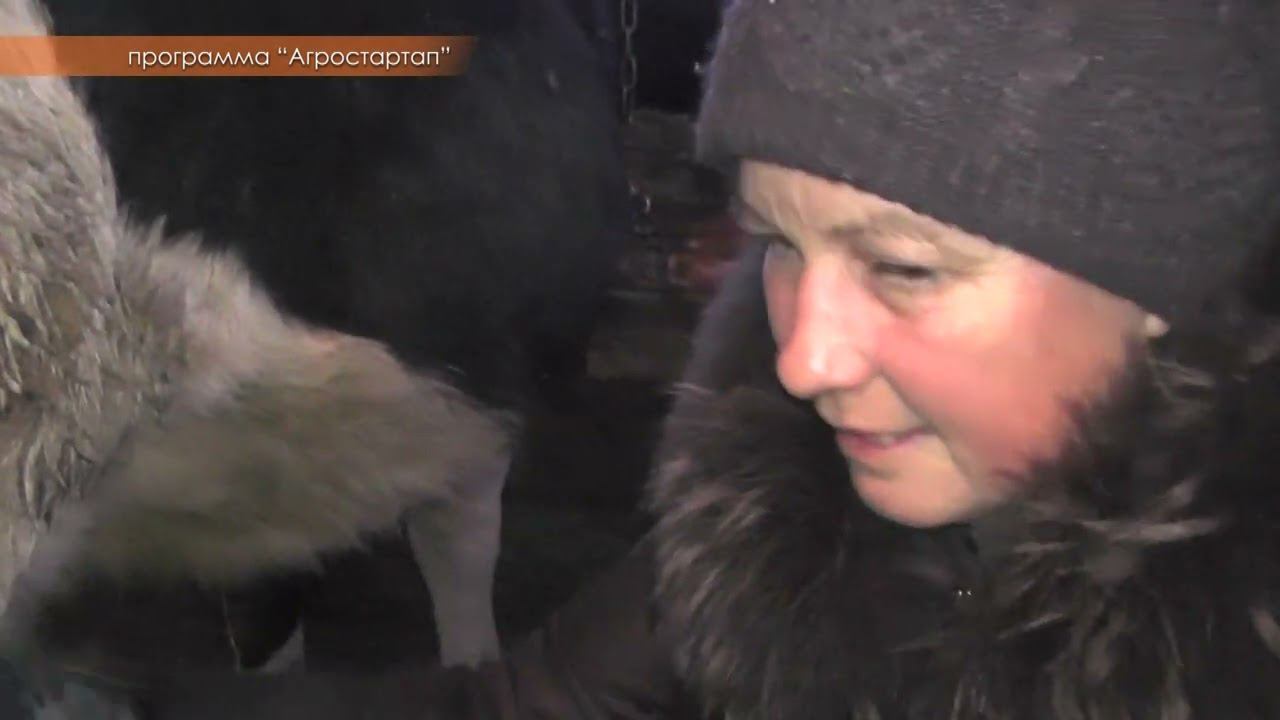 АГРОСТАРТАП