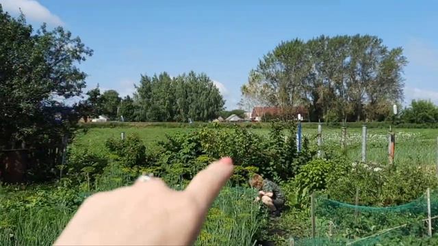 праздник села / выходные в деревне / дорога домой / часть 2 смотреть онлайн