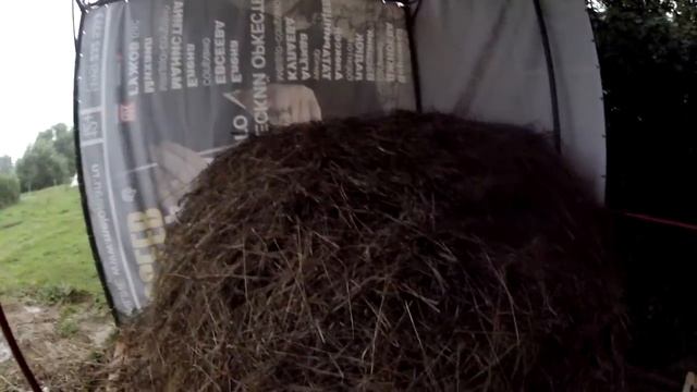 Металлоискатель и Теленок. Сено и Поддоны. Маша обиделась на Вас! смотреть онлайн