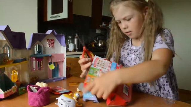 Мои Чабби папис (Chubby Puppies)