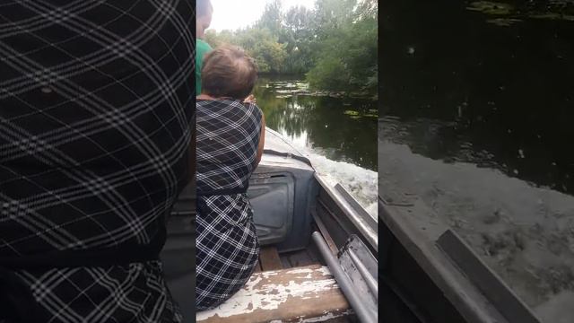 Плавни в Днепрянах 1 смотреть онлайн