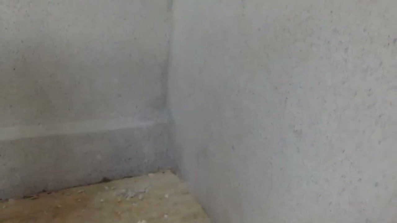 Жидкие обои.com